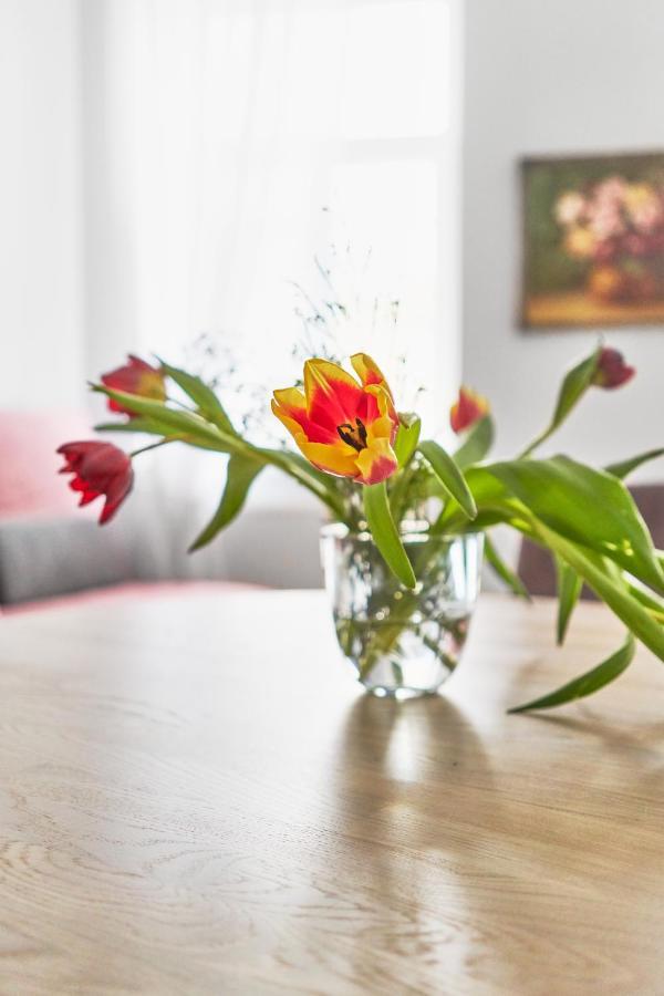 New And Lovely Apartament In Vilnius City Centre VNO Exterior foto